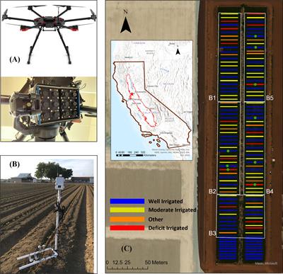 Estimation of tomato water status with photochemical reflectance index and machine learning: Assessment from proximal sensors and UAV imagery